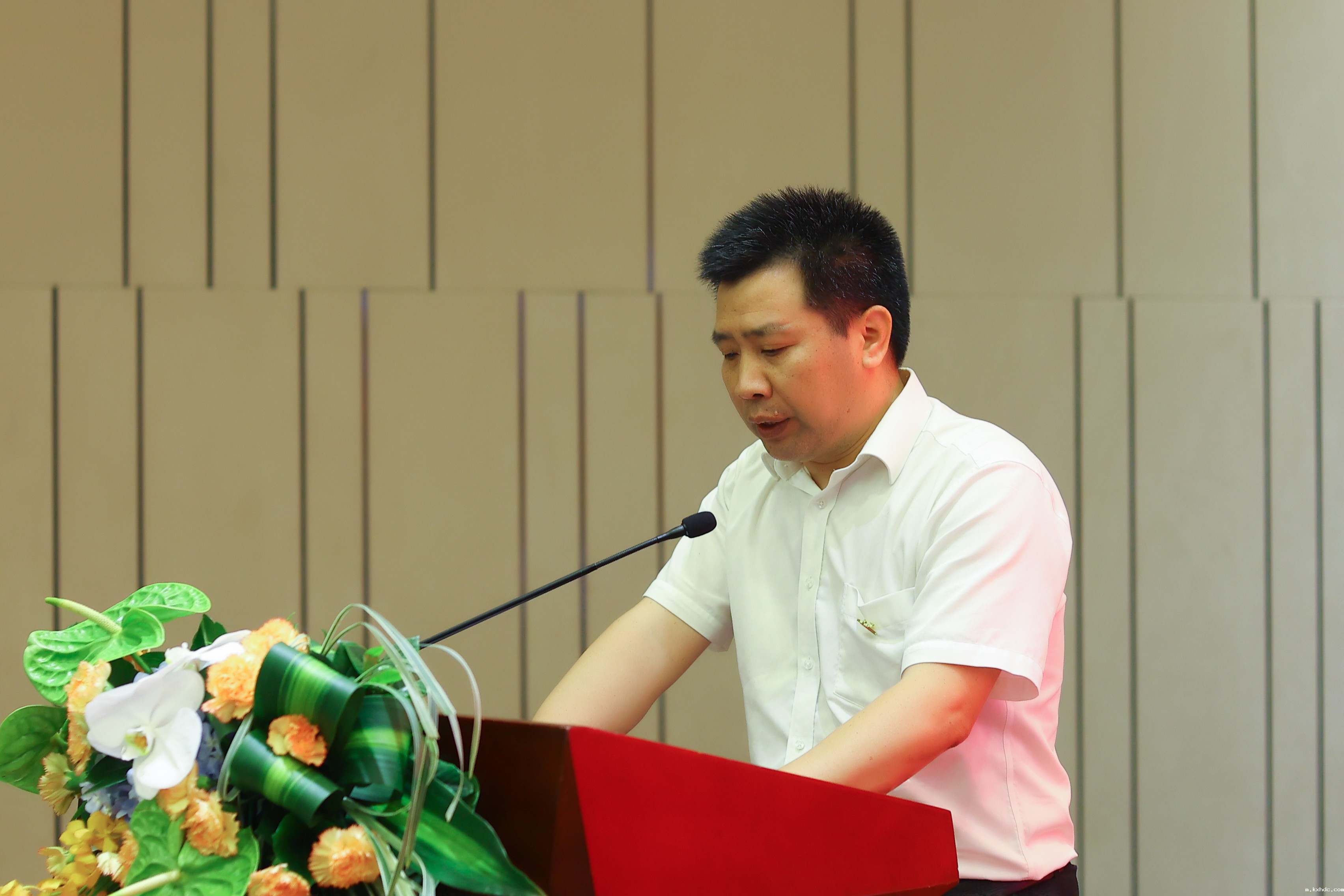 1724641100796941.jpg 1724641100796941.jpg